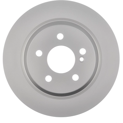 WORLDPARTS - WS1-734247 - Rear Disc Brake Rotor pa8