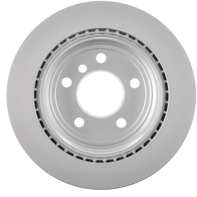 Rotor de frein à disque arrière de WORLDPARTS - WS1-734317 pa2