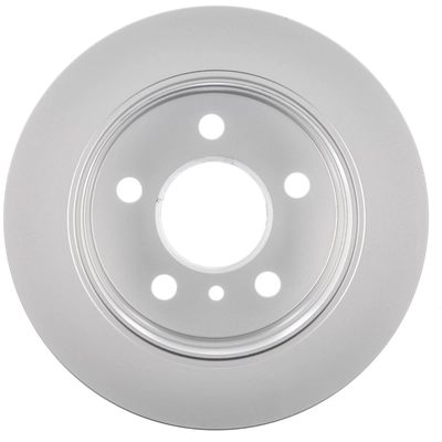 WORLDPARTS - WS1-734396 - Rear Disc Brake Rotor pa5