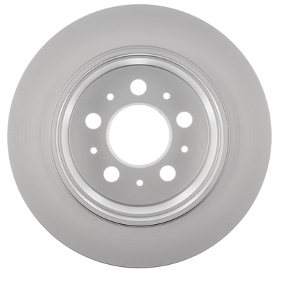 Rear Disc Brake Rotor by WORLDPARTS - WS1-834206 pa2