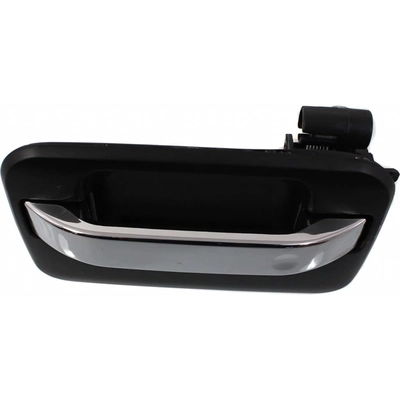 Rear Driver Side Exterior Door Handle - FO1520117 pa1