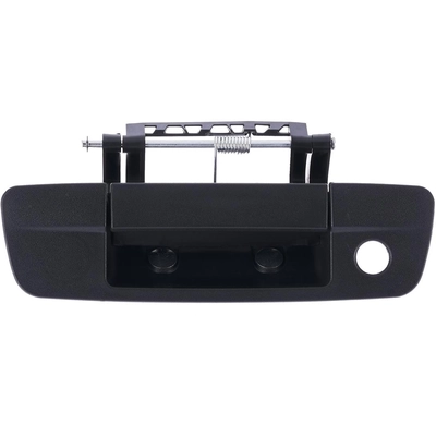 Rear Gate Handle - CH1915139 pa1