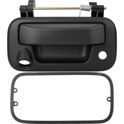 Rear Gate Handle - FO1915123 pa1