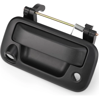 Rear Gate Handle - FO1915123 pa2