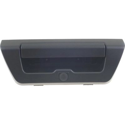 Rear Gate Handle - FO1915137 pa2