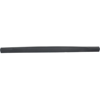 VARIOUS MANUFACTURES - FO1904104 - Rear Gate Molding pa5