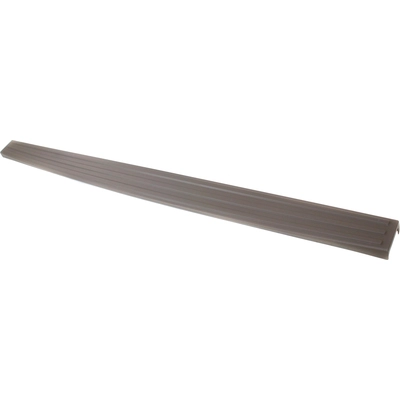 VARIOUS MANUFACTURES - FO1904108 - Rear Gate Molding pa2