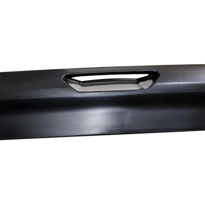 Rear Gate Molding - FO1904110 pa2
