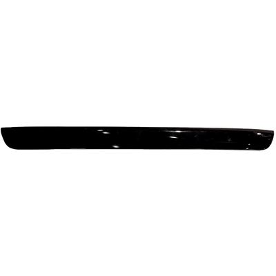 VARIOUS MANUFACTURES - TO1904109 - Rear Gate Molding pa1