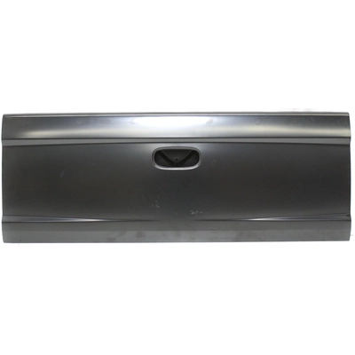 VARIOUS MANUFACTURERS - CH1900126C - Rear Gate Shell pa2