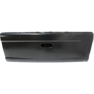 VARIOUS MANUFACTURERS - CH1900126C - Rear Gate Shell pa6