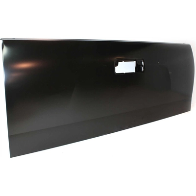 VARIOUS MANUFACTURERS - TO1900112 - Rear Gate Shell pa1