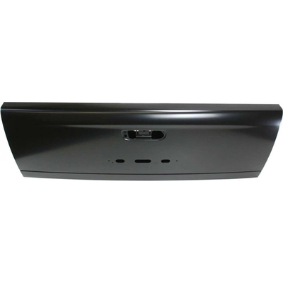 VARIOUS MANUFACTURERS - CH1900125 - Rear Gate Shell pa3