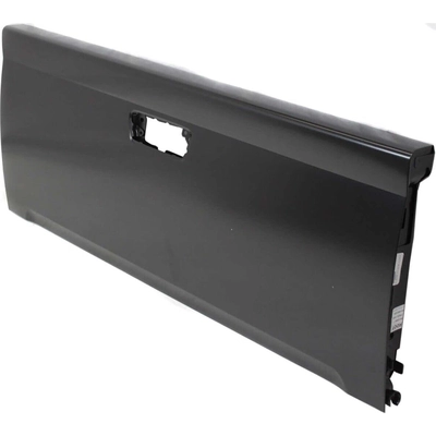 VARIOUS MANUFACTURERS - GM1900120 - Rear Gate Shell pa1