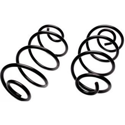 Rear Heavy Duty Coil Springs by MOOG - 6319 pa6