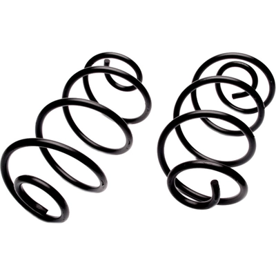 Rear Heavy Duty Coil Springs by MOOG - 6319 pa8
