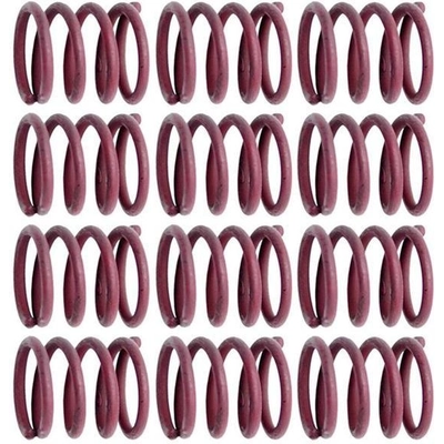Rear Hold Down Spring (Pack of 12) by RAYBESTOS - H11152 pa2