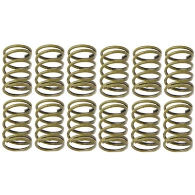 Rear Hold Down Spring (Pack of 12) by RAYBESTOS - H1150 pa3