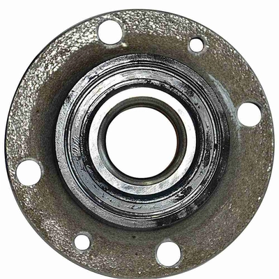 GSP NORTH AMERICA - 123480 - Wheel Bearing and Hub Assembly - Rear pa1