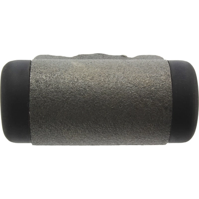 Rear Left Wheel Cylinder by CENTRIC PARTS - 134.70006 pa6