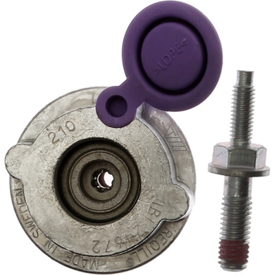 RAYBESTOS - H14357 - Rear Disc Brake Low Frequency Noise Damper pa2