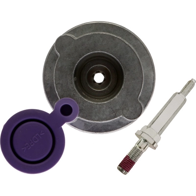 RAYBESTOS - H14360 - Rear Disc Brake Low Frequency Noise Damper pa2