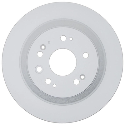 RAYBESTOS - 980901 - Rear Disc Brake Rotor pa2