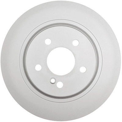 RAYBESTOS - 981165 - Rear Disc Brake Rotor pa1