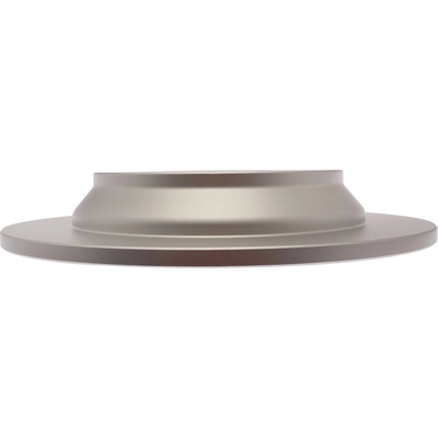 Rear Performance Rotor by RAYBESTOS - 982363 pa1