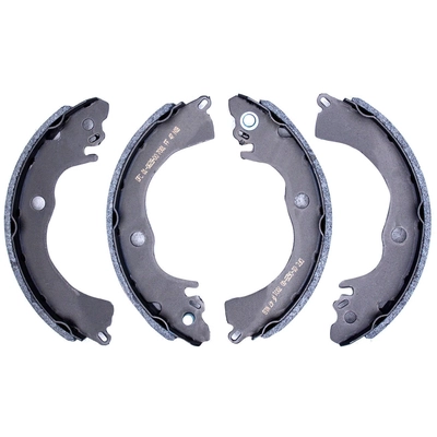DYNAMIC FRICTION COMPANY - 1901-0628-00 - True-Arc Drum Brake Shoes pa1