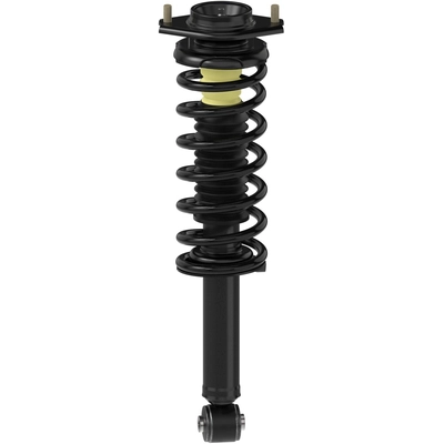 MONROE - 173123 - Rear Strut and Coil Spring Assembly pa1