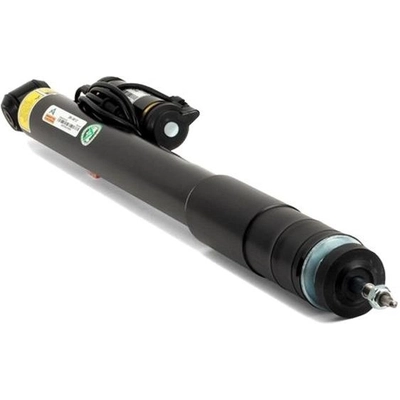 Rear Shock Absorber by ARNOTT - SK3012 pa6