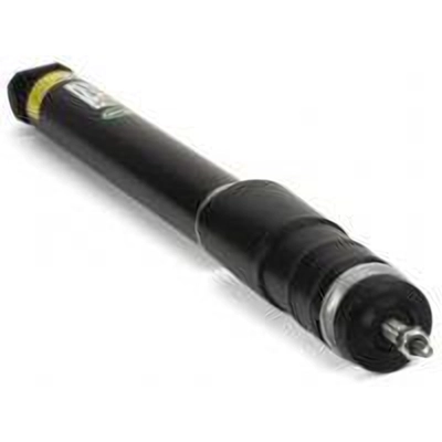 Rear Shock Absorber by ARNOTT - SK3039 pa5