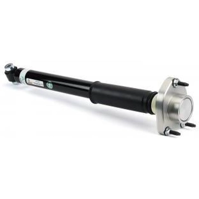 Rear Shock Absorber by ARNOTT - SK3385 pa1