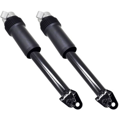 FCS AUTOMOTIVE - 8346707 - Rear Driver or Passenger Side Bare Shock Absorbers pa2