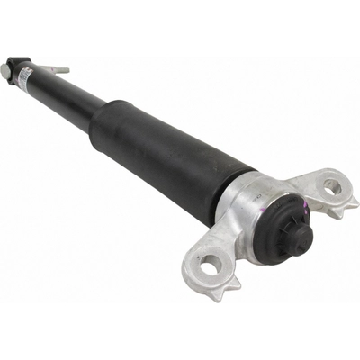 MOTORCRAFT - ASH86018 - Rear Shock Absorber pa2