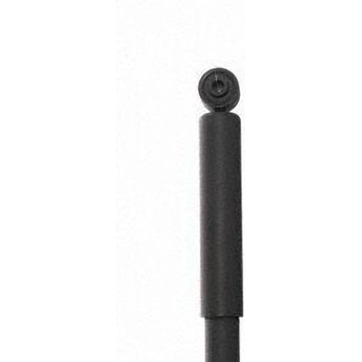 Rear Shock Absorber by PRT - 172453 pa2