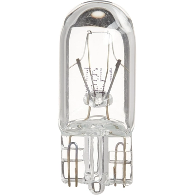 ACDELCO - 13503359 - Halogen Bulb pa1