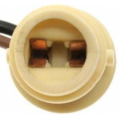 Rear Side Marker Light Socket by ACDELCO PROFESSIONAL - LS264 pa5