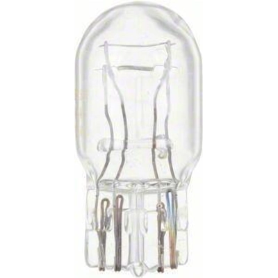 Rear Side Marker (Pack of 10) by PHILIPS - 7443CP pa42
