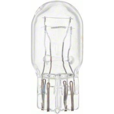 Rear Side Marker (Pack of 10) by PHILIPS - 7443CP pa44