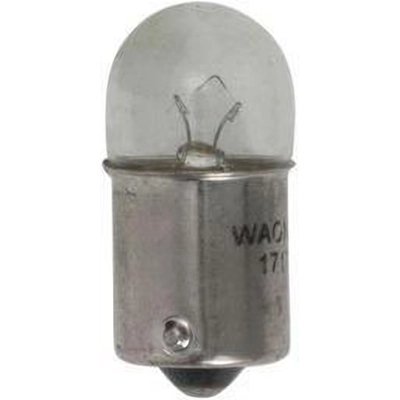 Rear Side Marker (Pack of 10) by WAGNER - 17171 pa6