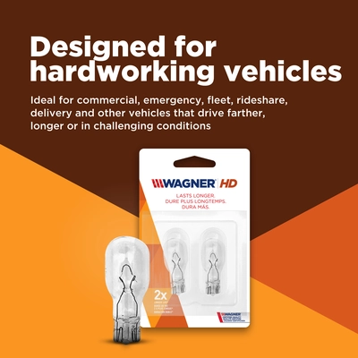 Rear Side Marker (Pack of 2) by WAGNER - BP168LL pa5