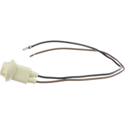 BLUE STREAK (HYGRADE MOTOR) - HP4060 - Back Up Light Socket pa7