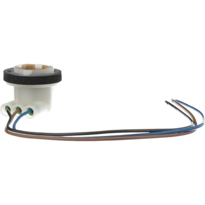 BLUE STREAK (HYGRADE MOTOR) - HP4170 - Back Up Light Socket pa6