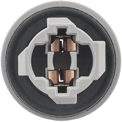 BWD AUTOMOTIVE - PT2055 - Side Marker Light Socket pa2