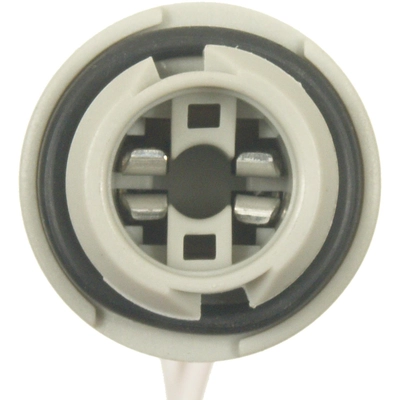 STANDARD - PRO SERIES - S1724 - License Lamp Socket pa3