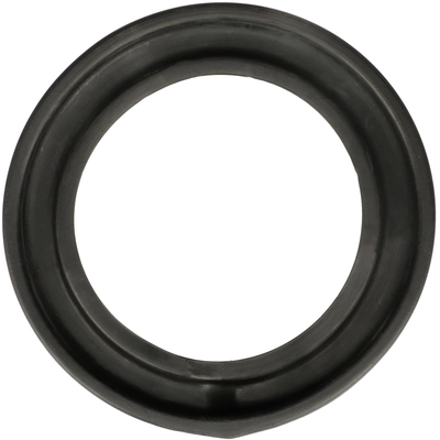 Rear Spring Seat by DELPHI - TC6473 pa1