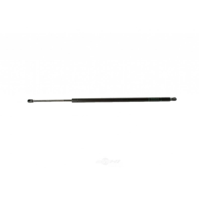 Rear Tailgate Lift by SHERMAN PARTS - 088A-139GL pa1