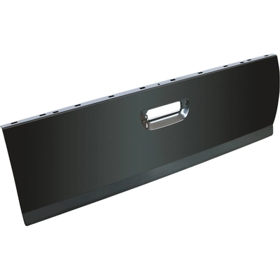 Rear Tailgate Lift - TO1910100 pa2